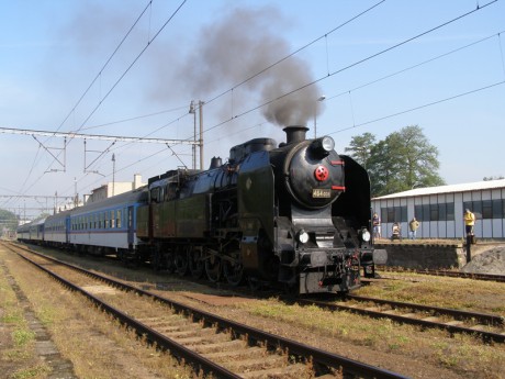 Sněžník 13.6.2015 II.