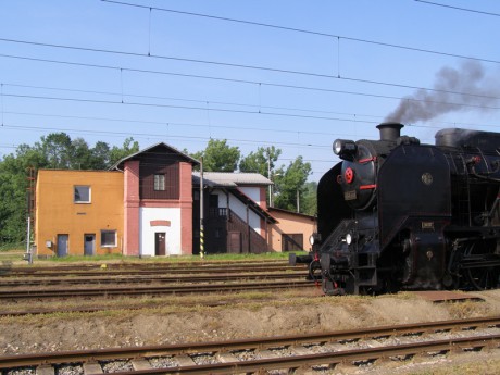 Sněžník 13.6.2015 III.