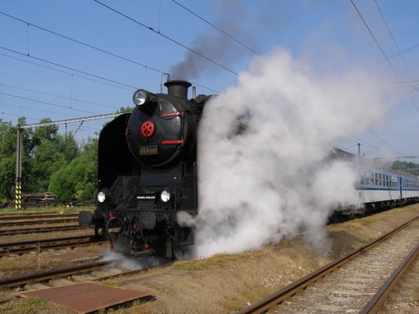 Sněžník 13.6.2015 IV.