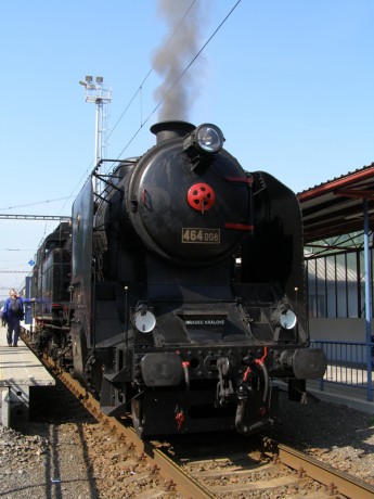 Sněžník 13.6.2015 VI.