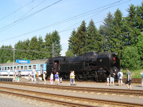 Sněžník 13.6.2015 IX.