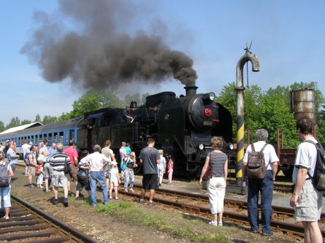 Sněžník 13.6.2015 XI.