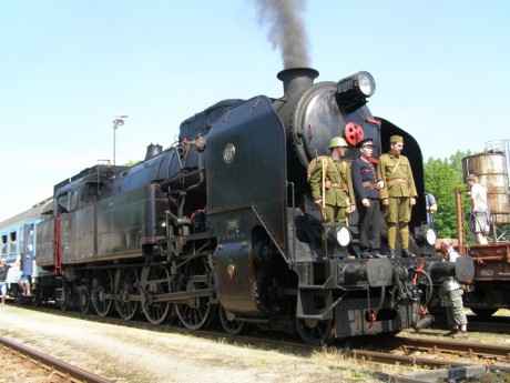 Sněžník 13.6.2015 XIII.