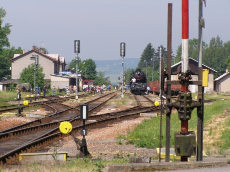 Sněžník 13.6.2015 XV.