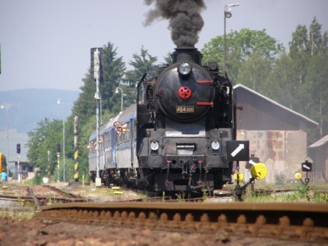 Sněžník 13.6.2015 XVI.