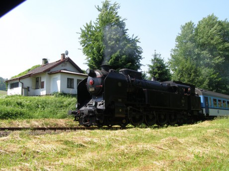 Sněžník 13.6.2015 XVII.