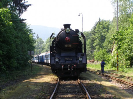 Sněžník 13.6.2015 XX.