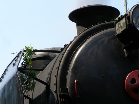 Sněžník 13.6.2015 XXI.