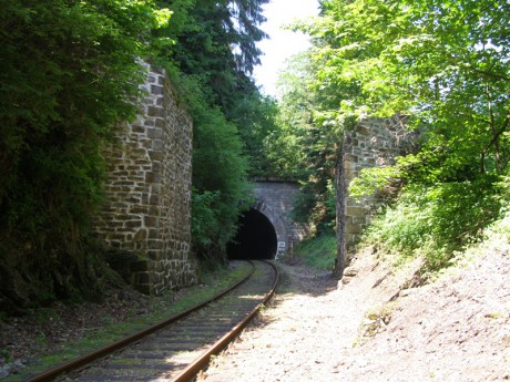 Sněžník 13.6.2015 XXII.