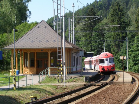 Sněžník 4.7.2015 I.