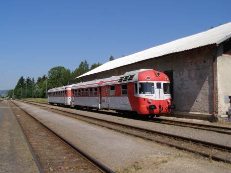 Sněžník 4.7.2015 III.