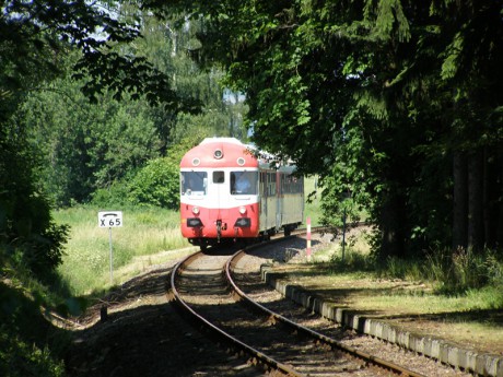 Sněžník 4.7.2015 V.