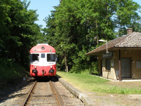 Sněžník 4.7.2015 VI.