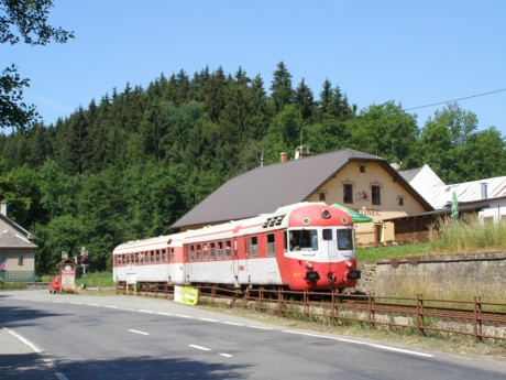 Sněžník 4.7.2015 VII.