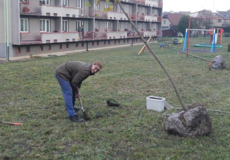 Sázení stromu k 100let republiky 1