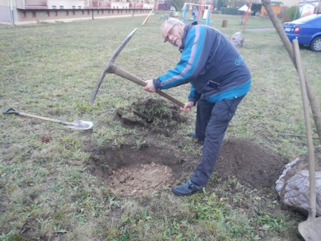 Sázení stromu k 100let republiky 2