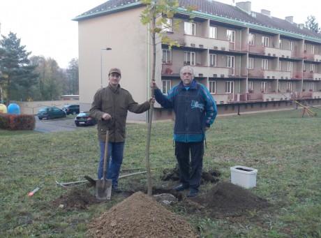 Sázení stromu k 100let republiky 3