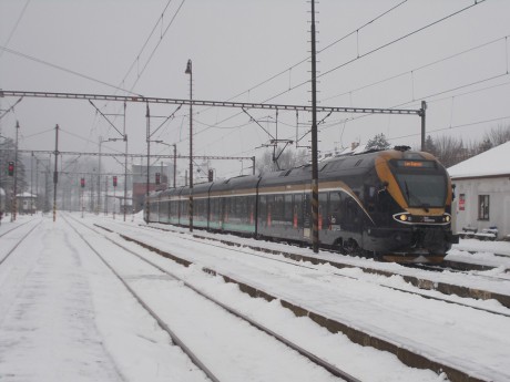 LEO 5.1.2018 - Letohrad 7.