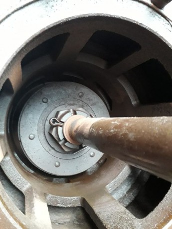 012_Oziveni2_328-011