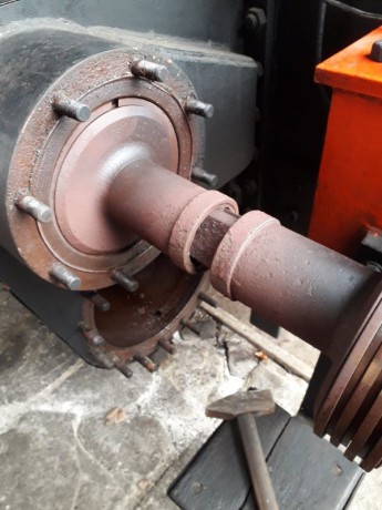 014_Oziveni2_328-011