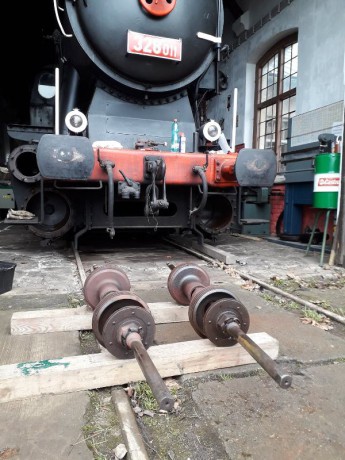 015_Oziveni2_328-011