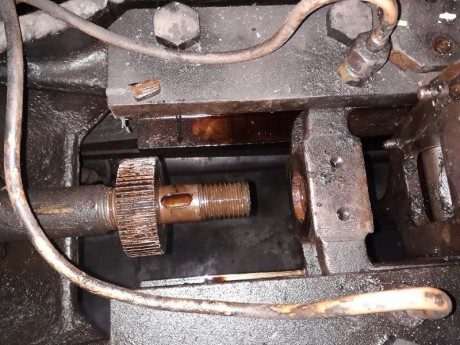 020_Oziveni2_328-011