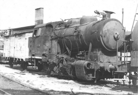 012_Oziveni1_328-011