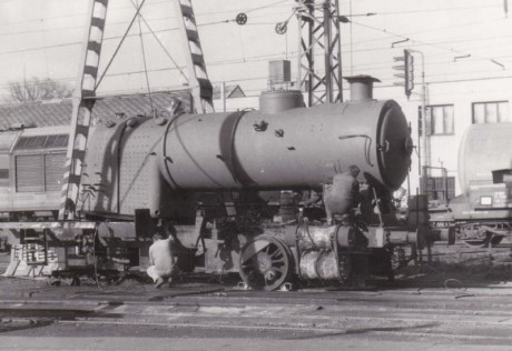 015_Oziveni1_328-011