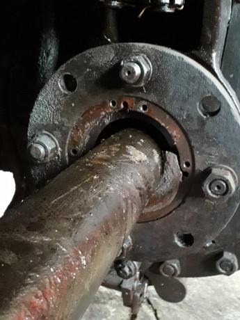 025_Oziveni2_328-011