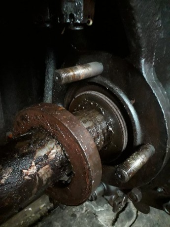 028_Oziveni2_328-011