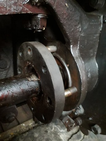 026_Oziveni2_328-011