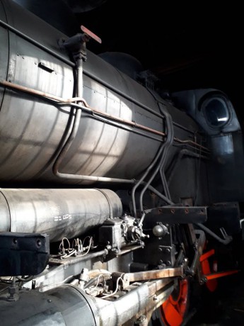 023_Oziveni2_328-011