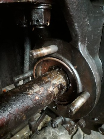 027_Oziveni2_328-011