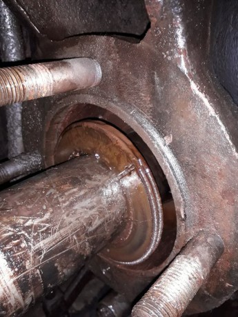 029_Oziveni2_328-011