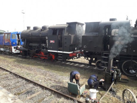 057_Oziveni2_328-011