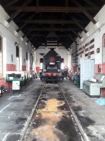 063_Oziveni2_328-011