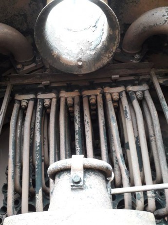 079_Oziveni2_328-011