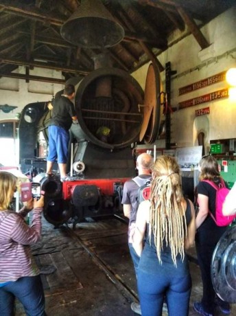 099_Oziveni2_328-011