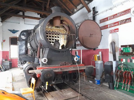 127_Oziveni2_328-011