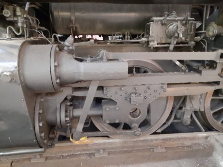 140_Oziveni2_328-011