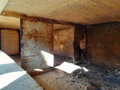 162_Oziveni2_328-011