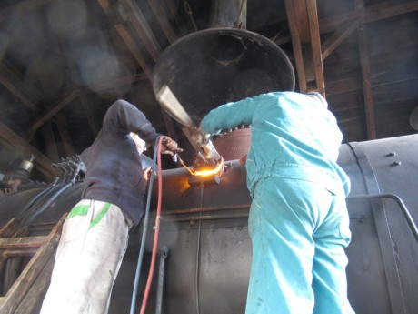 211_Oziveni2_328-011