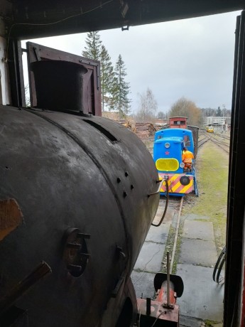 224_Oziveni2_328-011