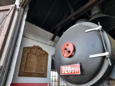 229_Oziveni2_328-011