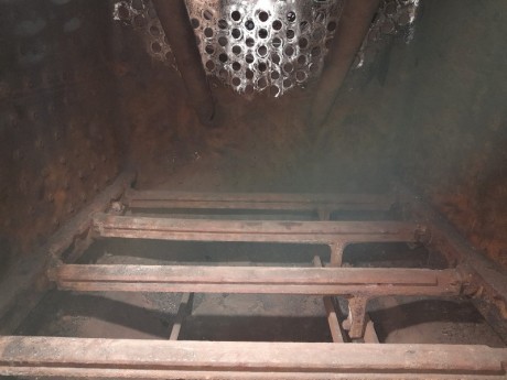 238_Oziveni2_328-011