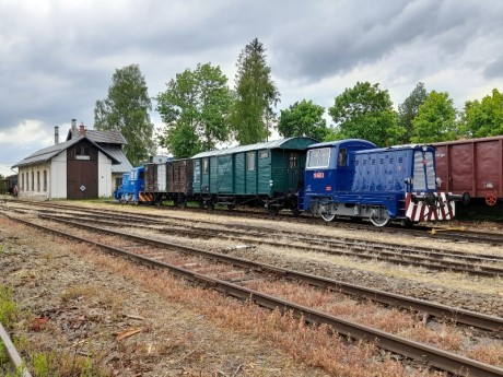 323_Oziveni2_328-011