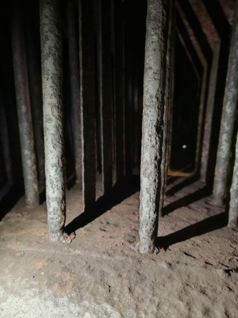 373_Oziveni2_328-011