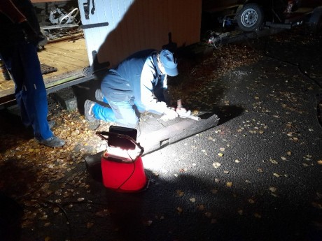 389_Oziveni2_328-011