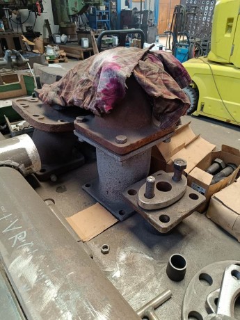 457_Oziveni2_328-011