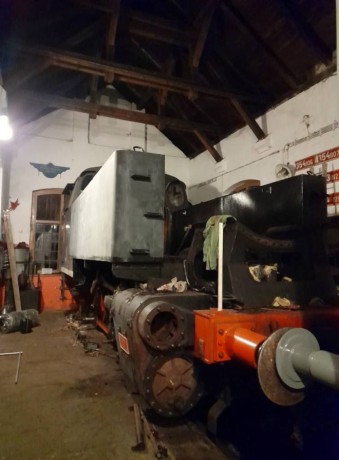 481_Oziveni2_328-011